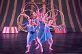 Mini Stars Circus 2D  35